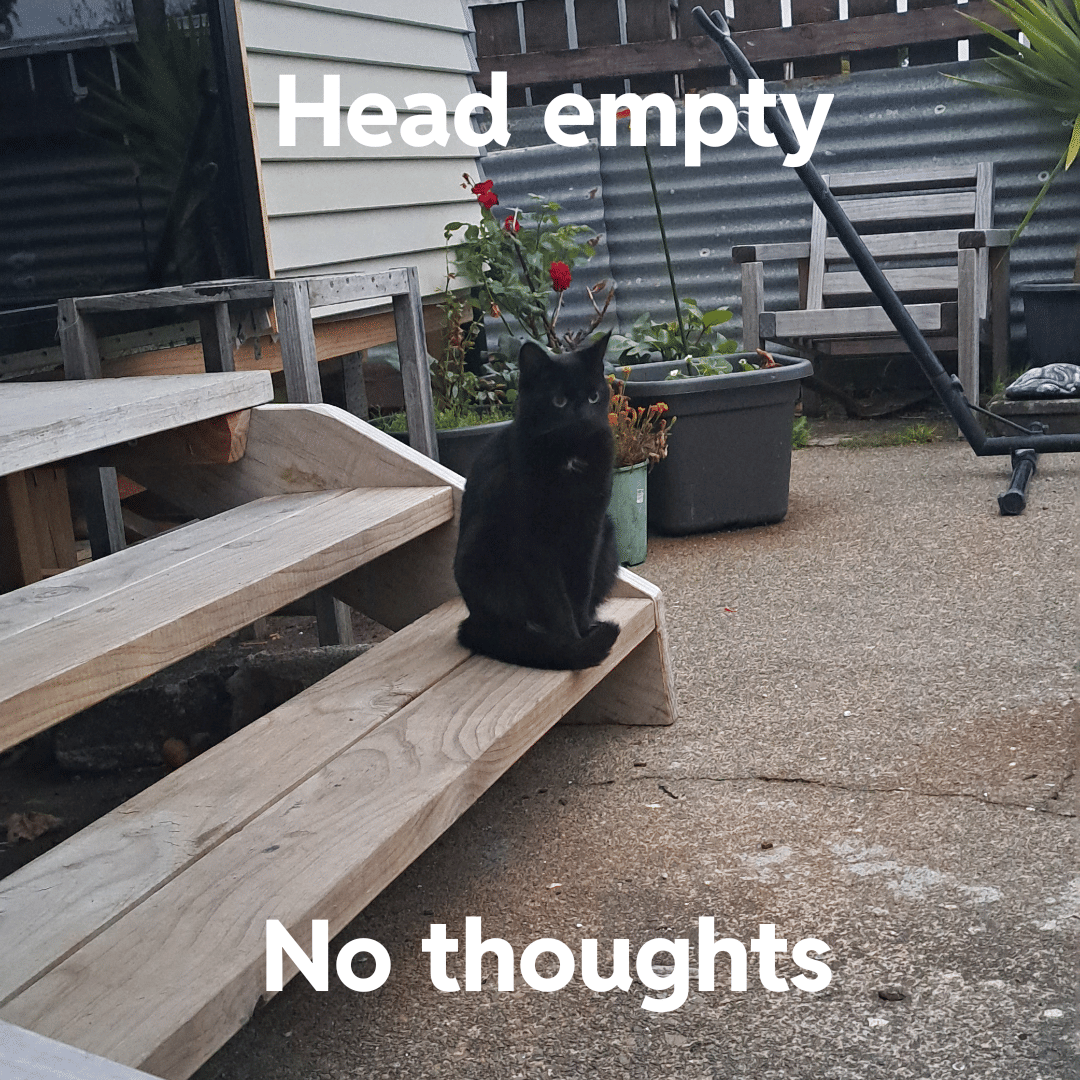 meme kucing dan tangga