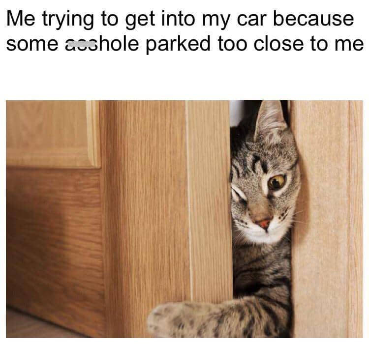 meme kucing tentang parkiran