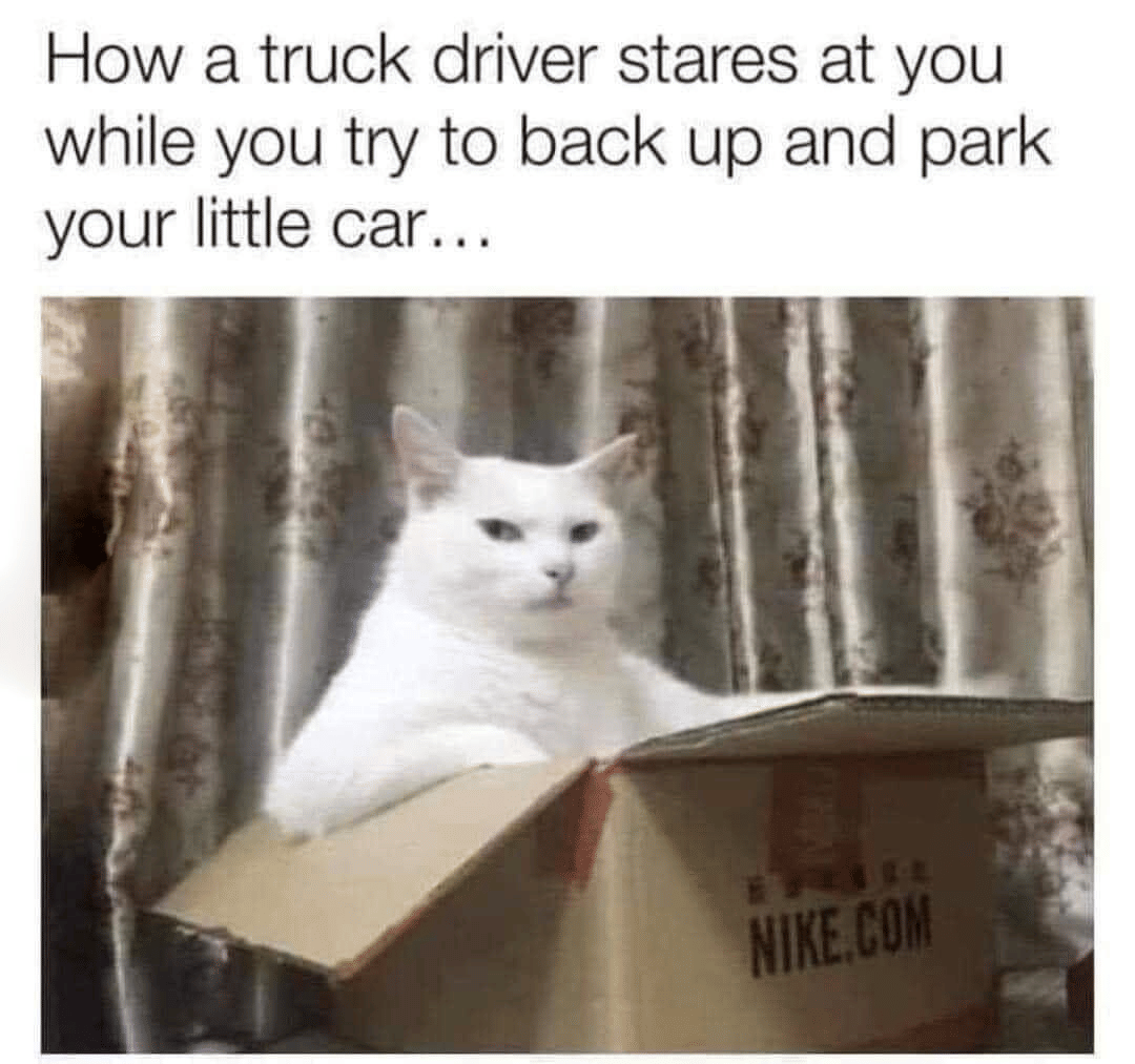 meme kucing tentang parkiran
