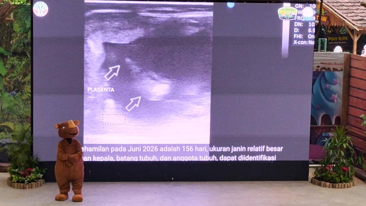 Hari Badak Sedunia, Bakal Ada Tambahan 2 Badak Sumatra