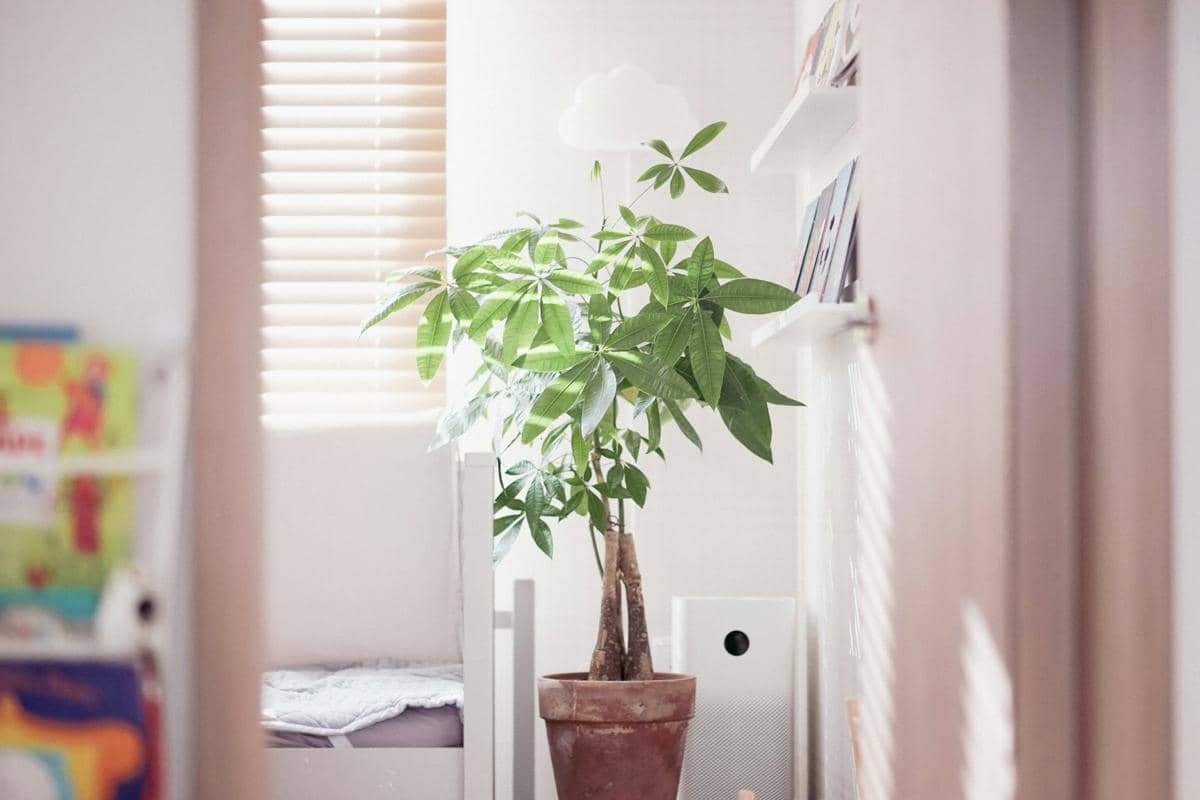 ilustrasi air purifier