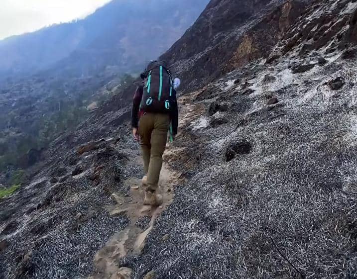 BTNGR Ungkap Alasan Jalur "Jurassic Park" Rinjani Masih Ditutup