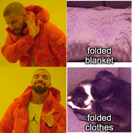 meme kucing tentang baju