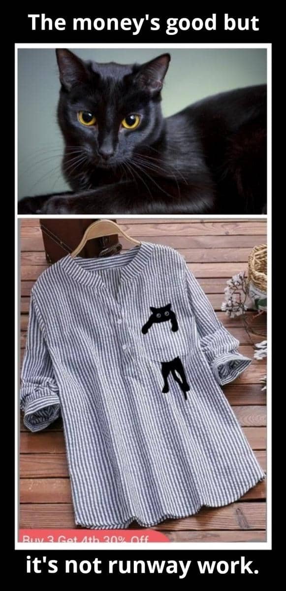 meme kucing tentang baju