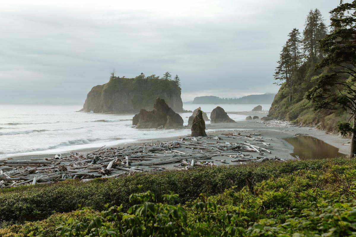 potret Olympic National Park