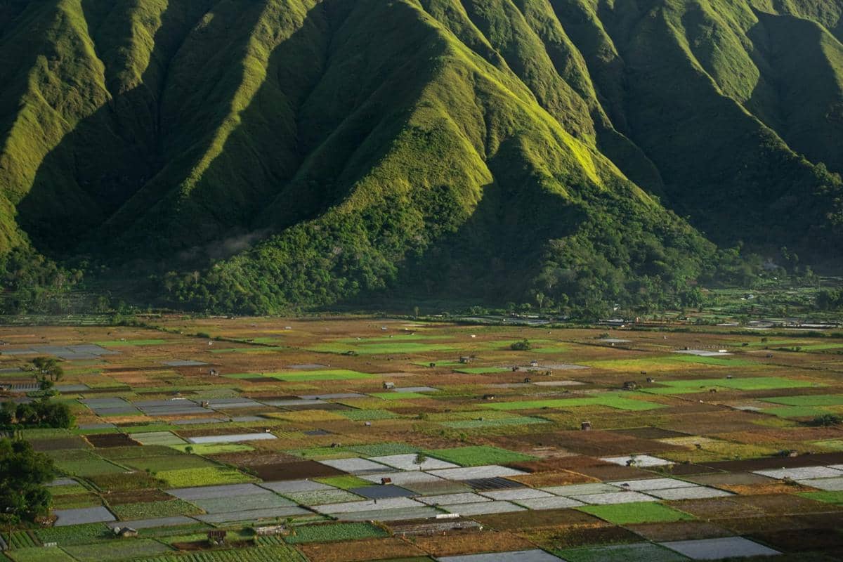 5 Tempat Menikmati Sunrise Lombok dari Bukit Tanpa Mendaki Rinjani