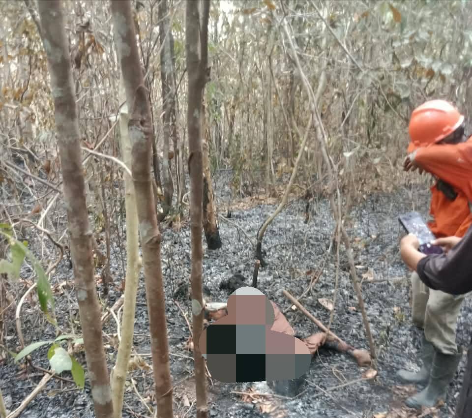 Warga OKI Meninggal Terhirup Asap Karhutla Saat Padamkan Api di Kebun