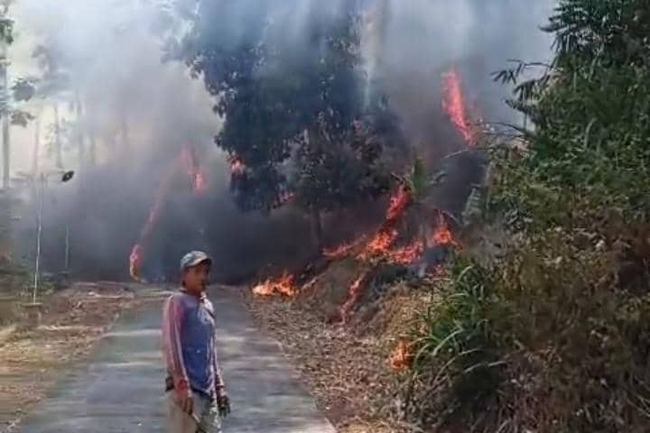 Karhutla Gunung Butak Ngawi Dekati Permukiman Warga