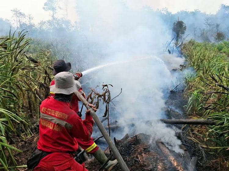 Hotspot Nasional Turun 605 Titik, Operasi Karhutla Tetap Disiagakan