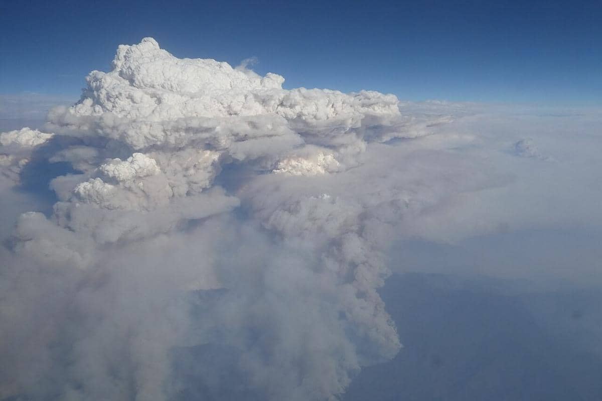 Pyrocumulonimbus 