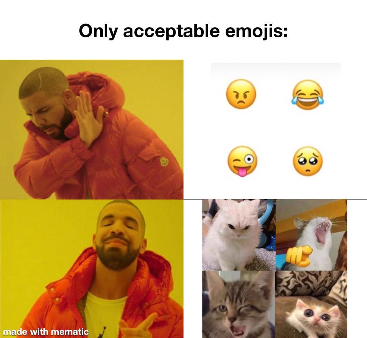 meme kucing berkedip