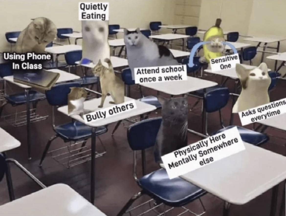 meme kucing dan kelas