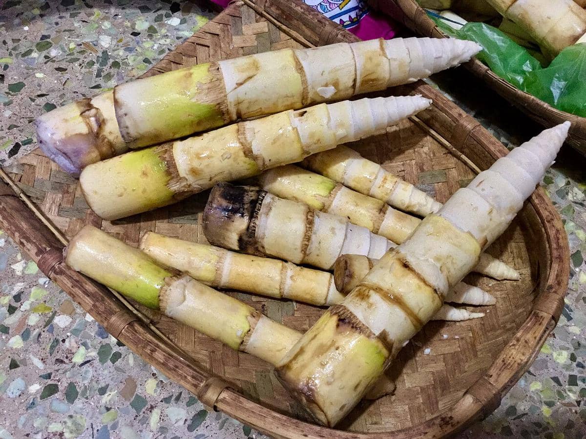 5 Fakta Rebung, Bahan Pangan yang Tak Boleh Dimakan Langsung