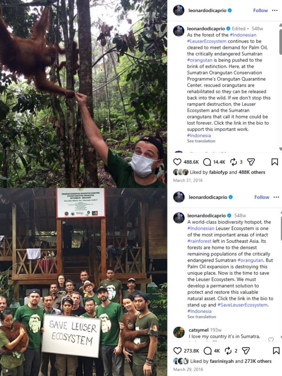 Leonardo DiCaprio ke Indonesia untuk isu lingkungan