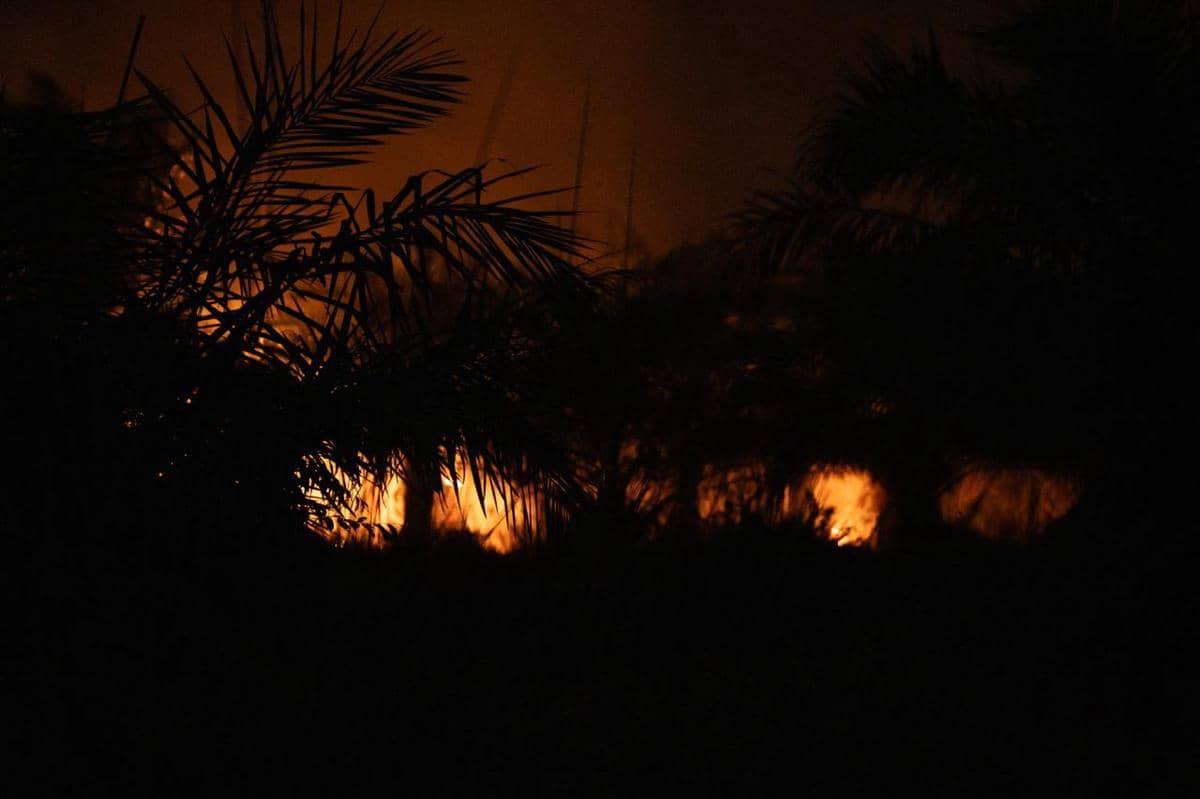 Pemkot Palembang Janji Beri Sanksi Perusahaan Penyebab Karhutla