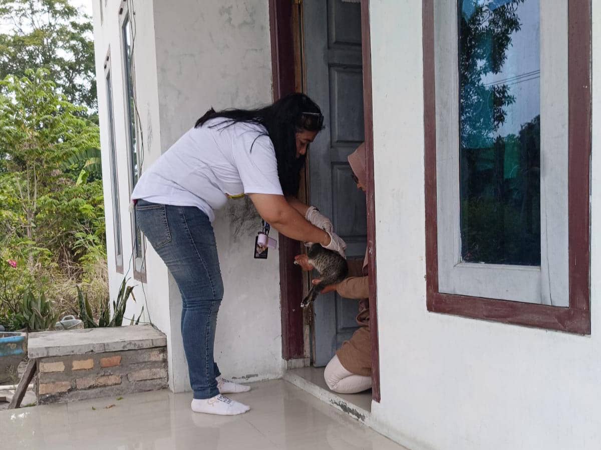 Door to Door, Cara Karantina Lampung-PDHI Vaksinasi Rabies di Lamsel