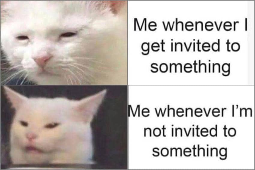 8 Meme Kucing tentang Ajakan, Kesal karena Gak Diajak Nongkrong