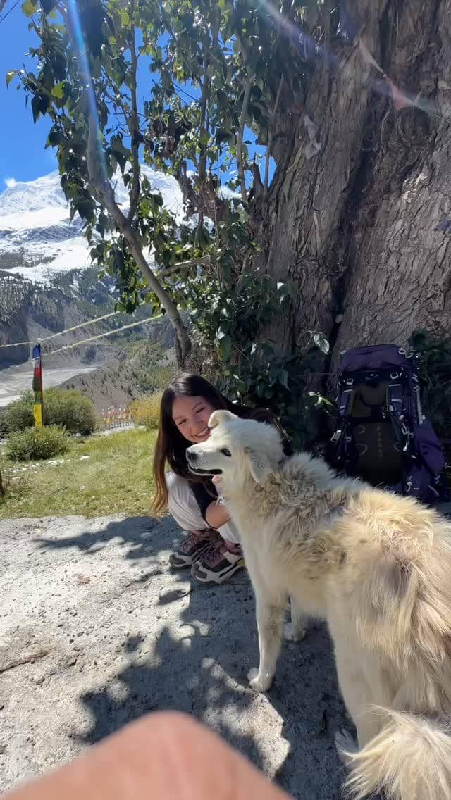 Bella Graceva melakukan pendakian di Annapurna Circuit Trek