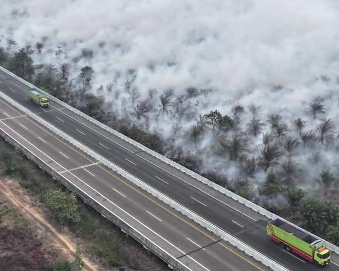 Karhutla OKI Meluas 140 Hektare, Api dan Asap Pekat Dekati Tol Terpeka