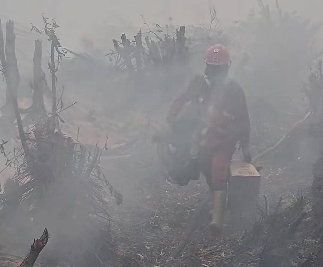 Tim gabungan berjibaku memadamkan kebakaran di wilayah OKI dengan peralatan pemadaman di area terdampak.