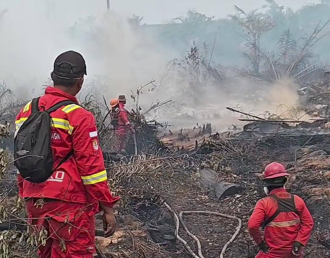Tim gabungan berjibaku memadamkan kebakaran di wilayah OKI menggunakan peralatan pemadaman di area terdampak api.