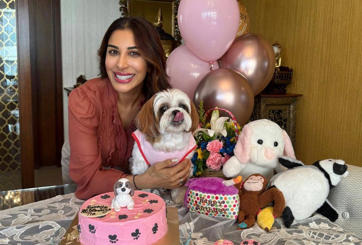 Sophie Choudry Rayakan Ulang Tahun Tia, Anjing Kesayangannya