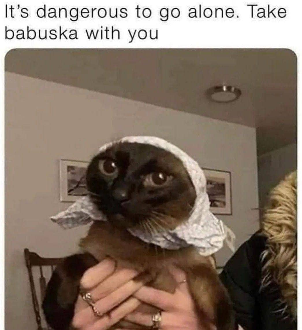 meme memegang kucing