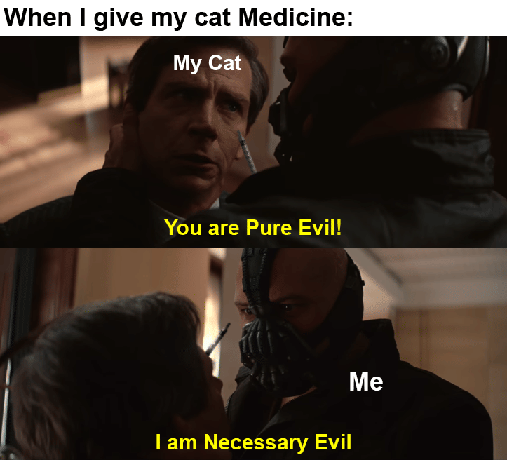 meme kucing tentang obat
