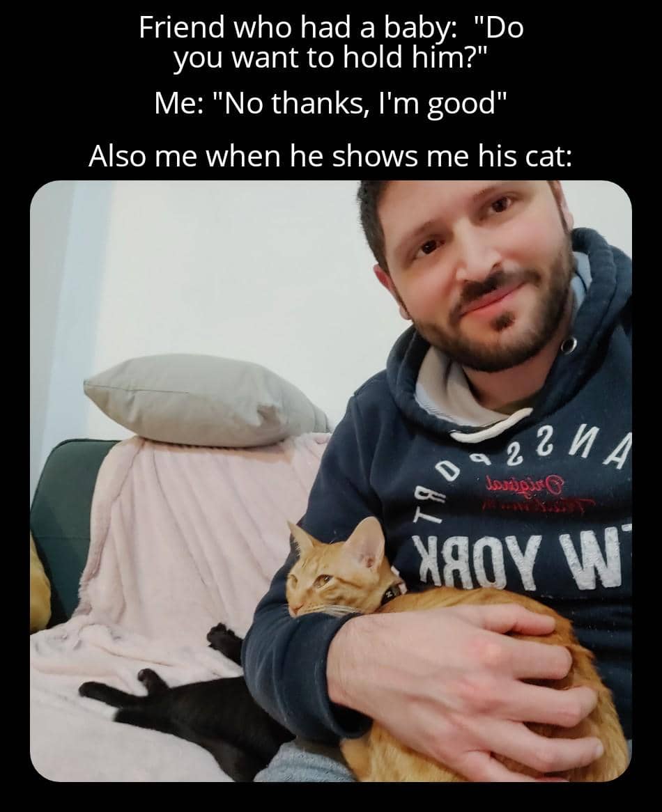 meme memegang kucing