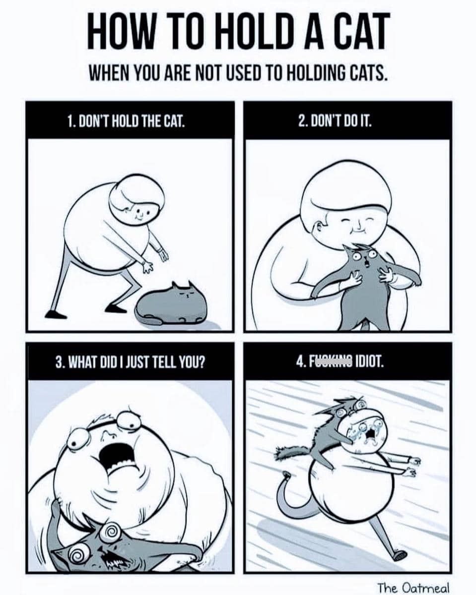 meme memegang kucing