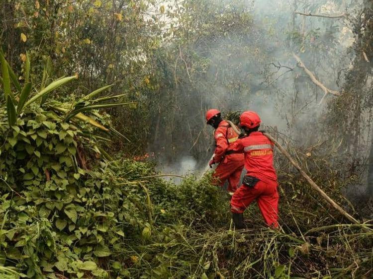 Hotspot Melonjak, Kemenhut Siagakan 61 Armada Udara Tangani Karhutla