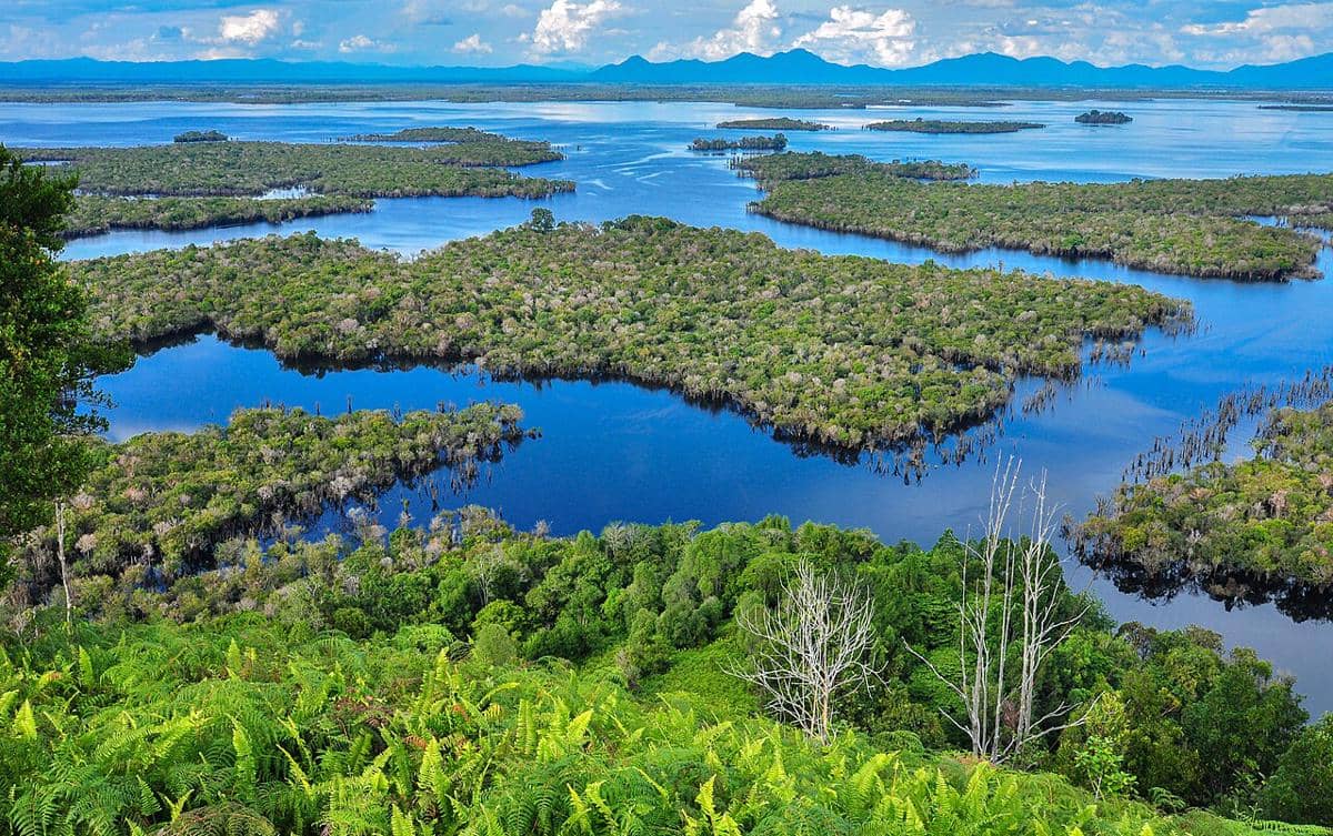 5 Danau Unik di Kalimantan, Bikin Terpukau Sejak Pandangan Pertama