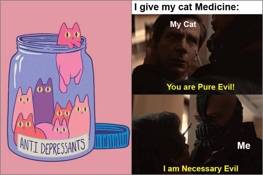 8 Meme Kucing tentang Obat, Anabul Penghilang Stres Alami?