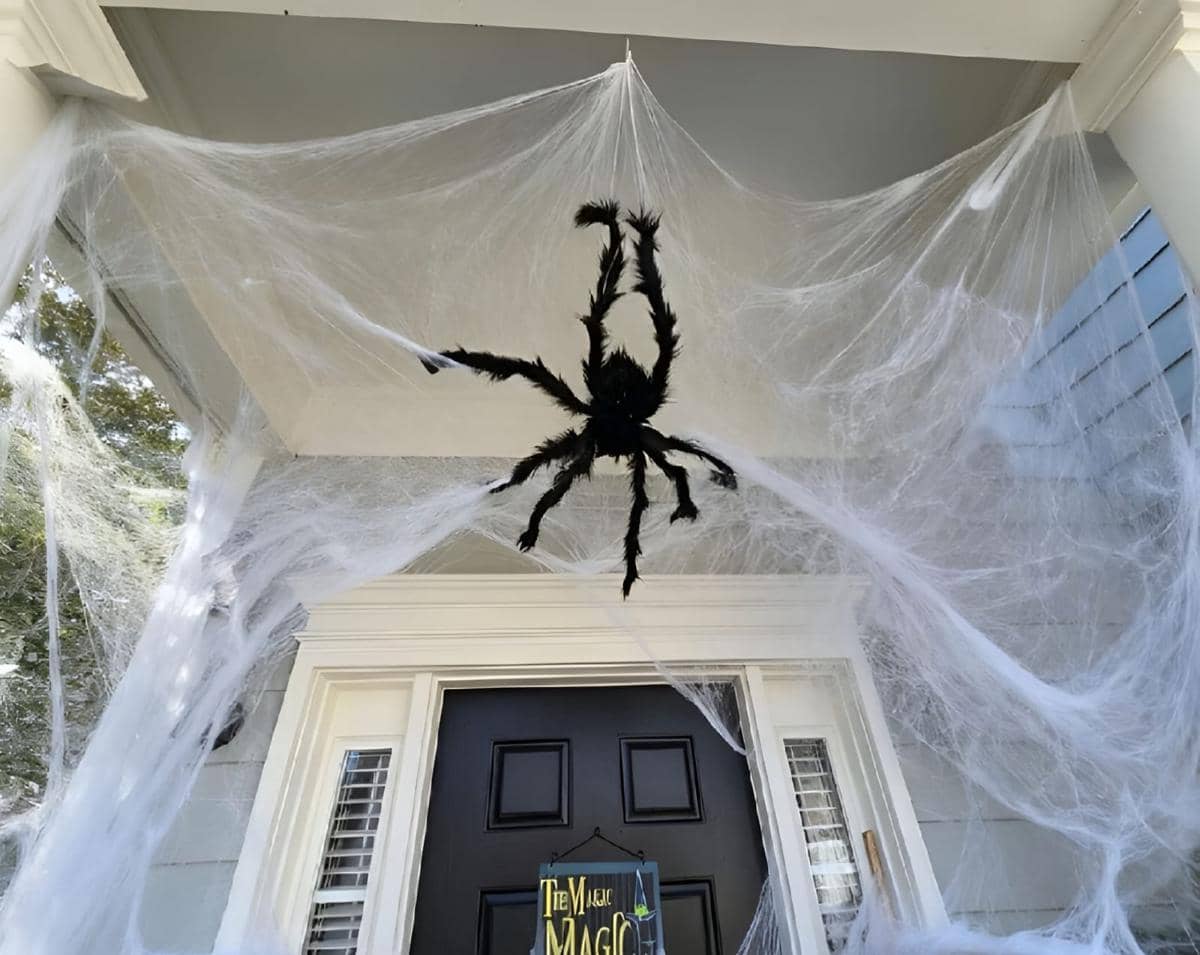 Cotton spider-net