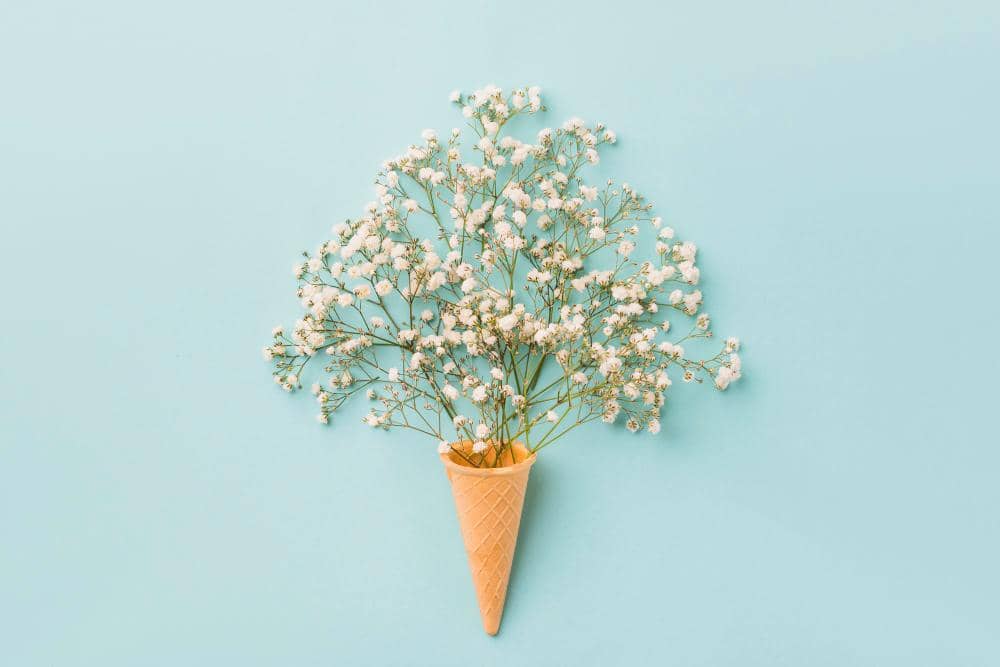 ilustrasi baby's breath