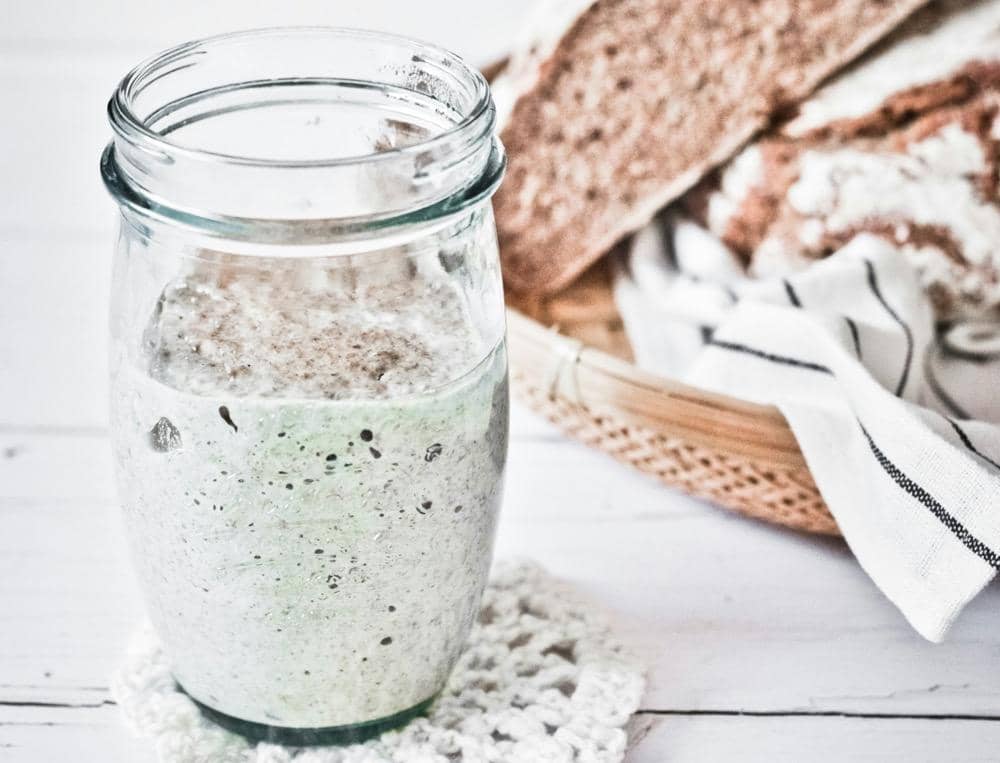 ilustrasi sourdough starter