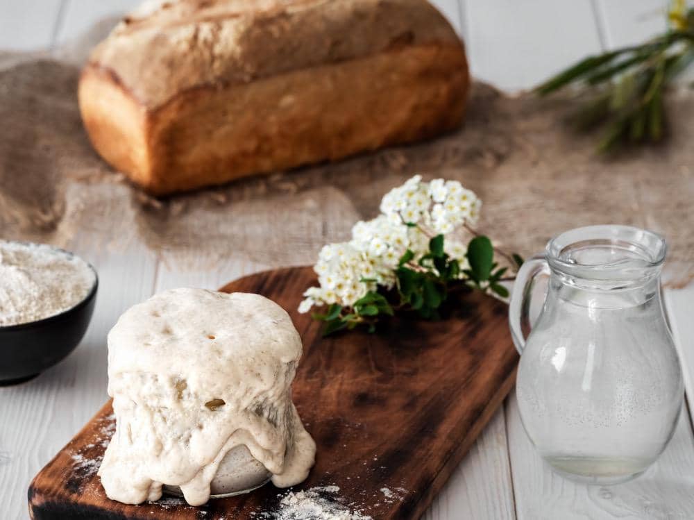 ilustrasi sourdough starter yang terlalu banyak