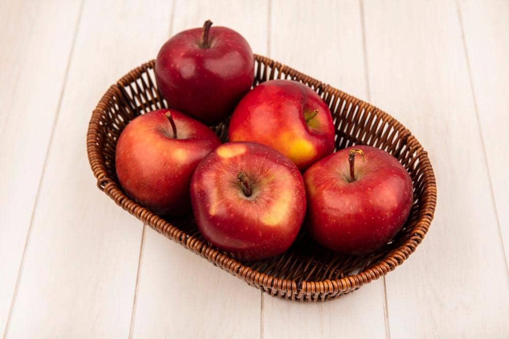 ilustrasi buah apel