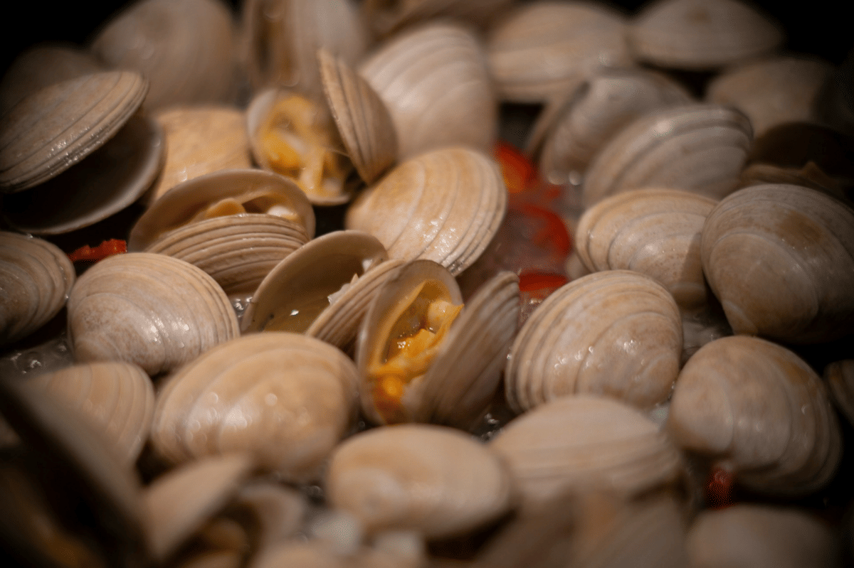 Semangkuk New England clam chowder creamy dengan kerang dan kentang, disajikan hangat sebagai ilustrasi resep.