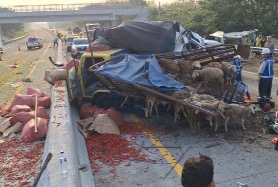 Truk Cabai Tabrak 2 Truk Kambing di Tol Ngawi, 1 Orang Tewas