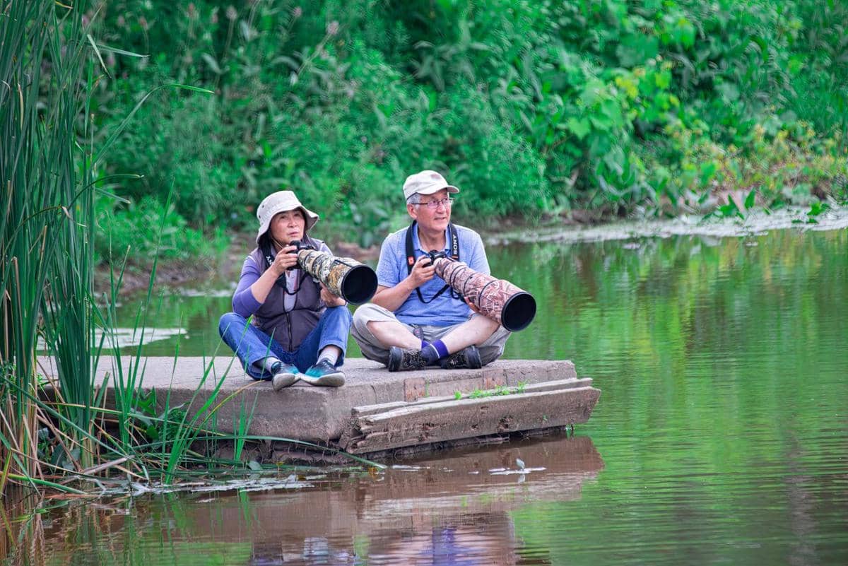 ilustrasi birdwatching