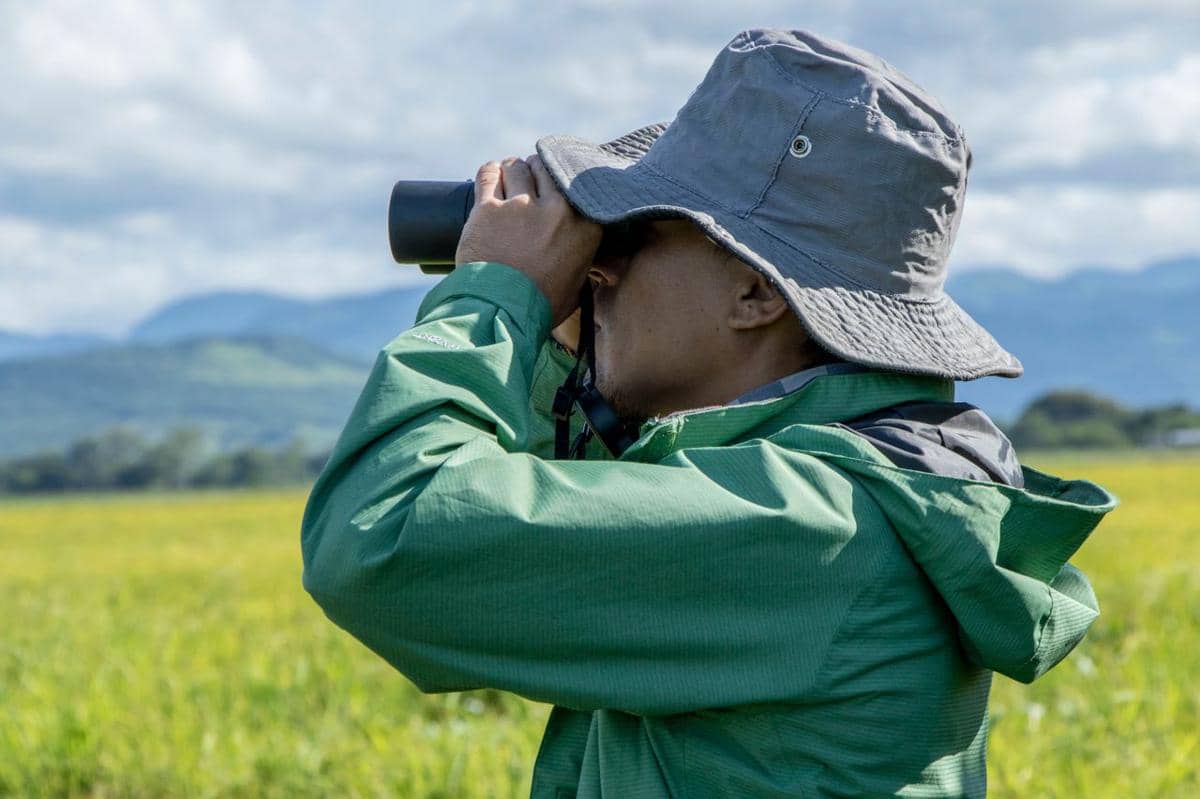 ilustrasi aktivitas birdwatching