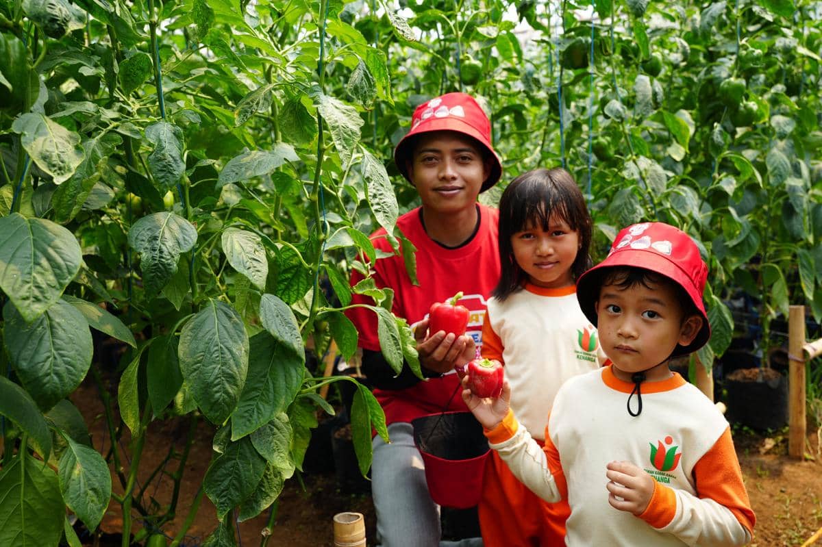 Photo 1 - Anak-anak peserta Pizza Maker Junior Farm Visit mengunjungi Kelompok Tani Sumber Tani Mulya di Bandung untuk mengenal lebih dekat proses budidaya paprika, mulai dari penanaman, perawatan, hingga panen, sebelu.jpeg