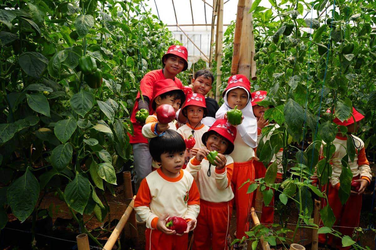 Dari Kebun ke Meja Makan, Anak-anak Diajak Mengenal Perjalanan Bahan Pangan