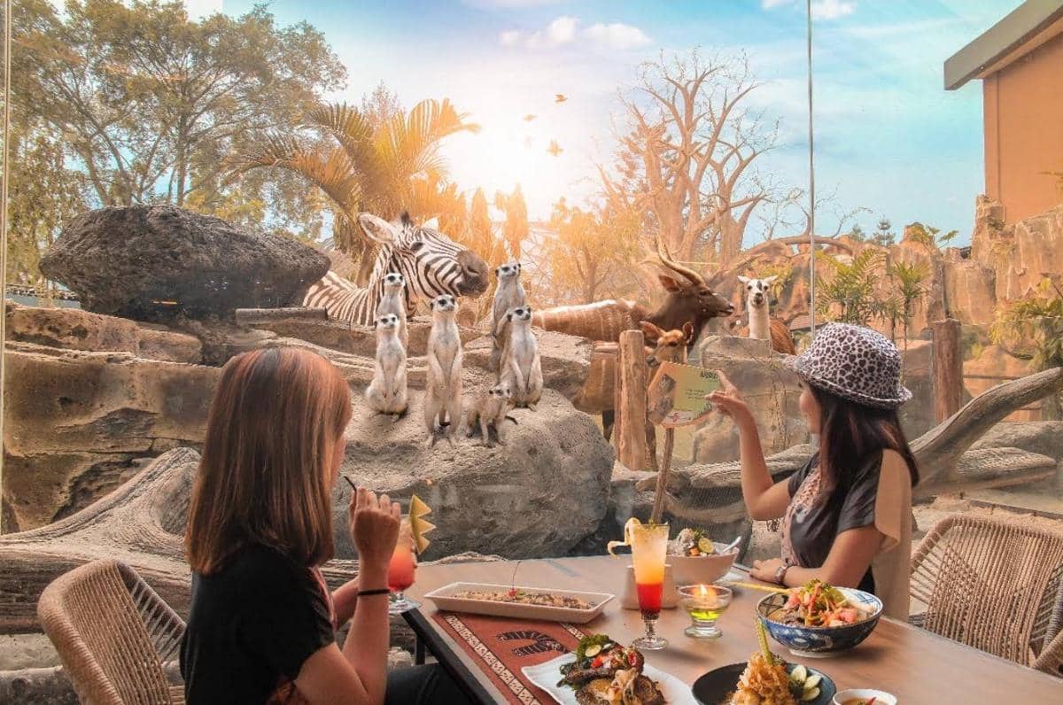 5 Tempat Makan Enak dan Nyaman yang Dekat Taman Safari Bogor