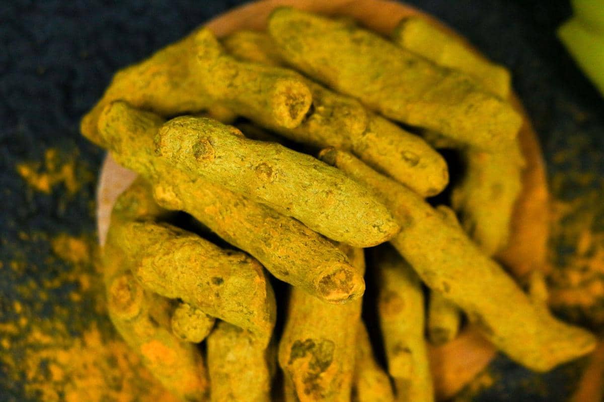 4 Cara Ampuh Menghilangkan Noda Kunyit di Kotak Makan Plastik