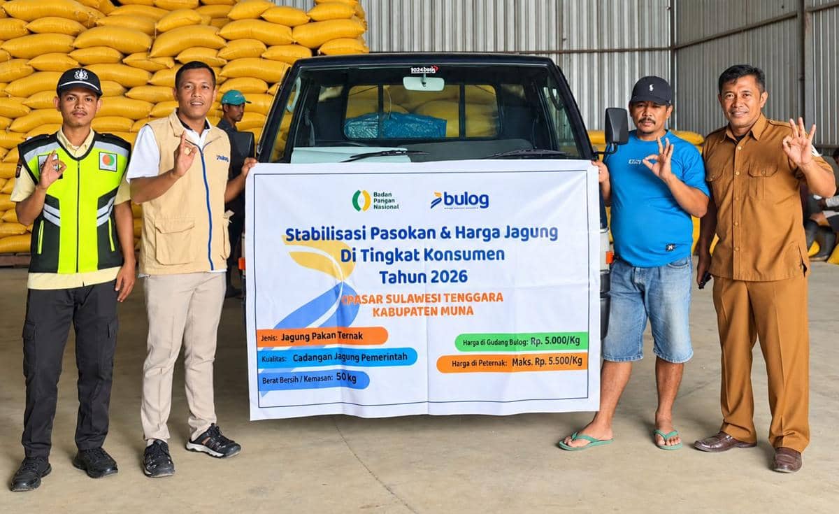 SPHP Jagung BULOG Tembus 76,7 Persen, Stok Nasional 98 Ribu Ton