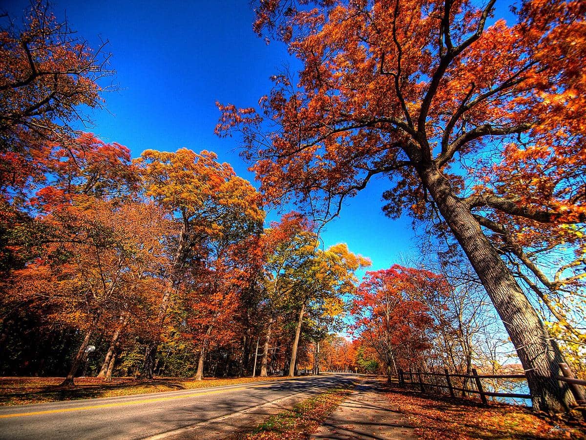 Niagara on the Lake