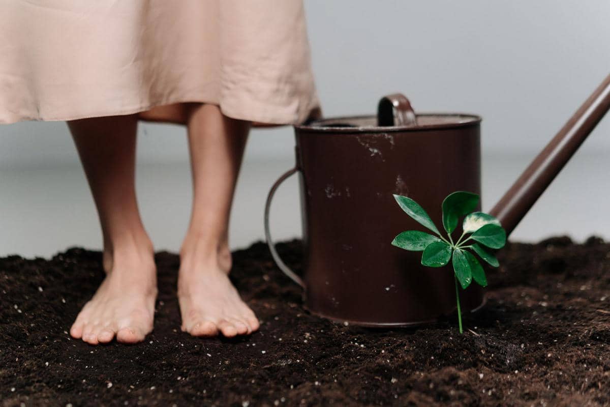 Grounding