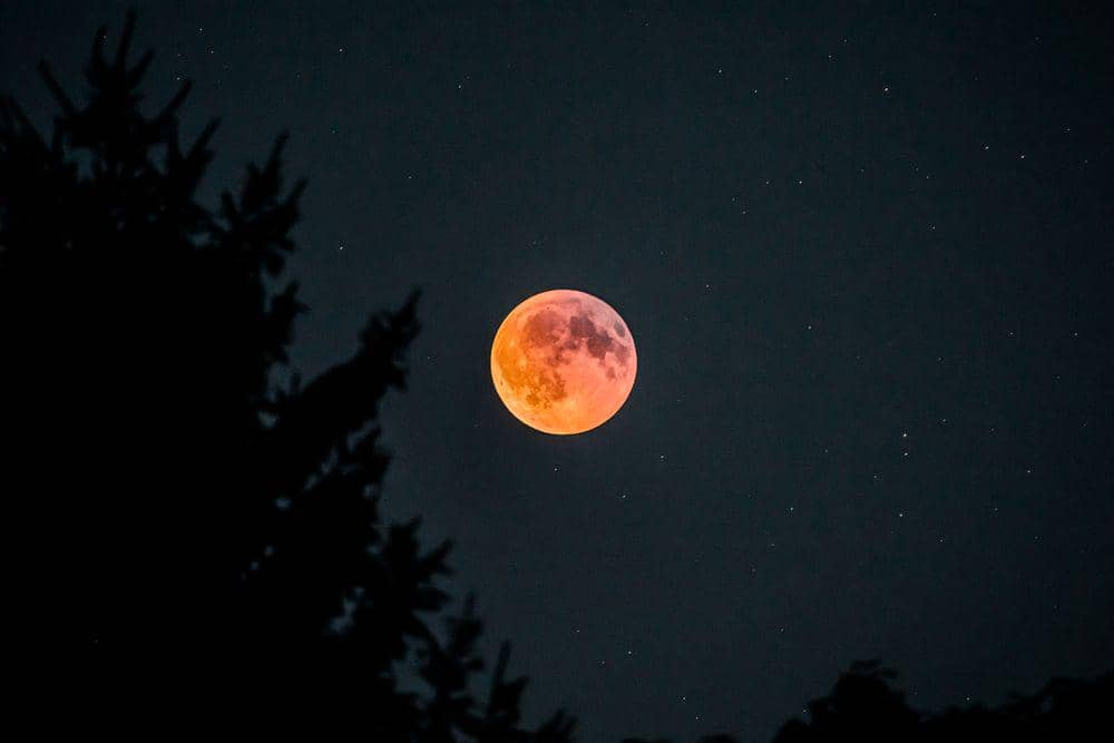 ilustrasi bulan purnama saat musim gugur